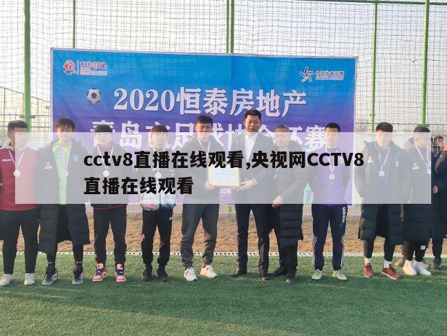 cctv8直播在线观看,央视网CCTV8直播在线观看