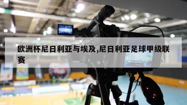 欧洲杯尼日利亚与埃及,尼日利亚足球甲级联赛