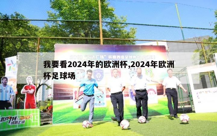 我要看2024年的欧洲杯,2024年欧洲杯足球场