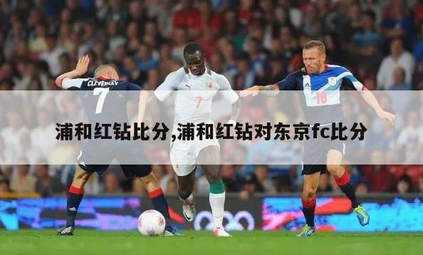 浦和红钻比分,浦和红钻对东京fc比分