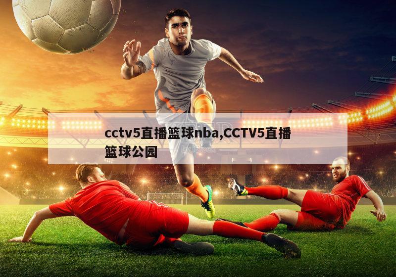 cctv5直播篮球nba,CCTV5直播篮球公园