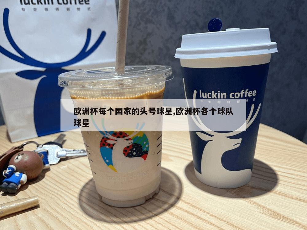 欧洲杯每个国家的头号球星,欧洲杯各个球队球星